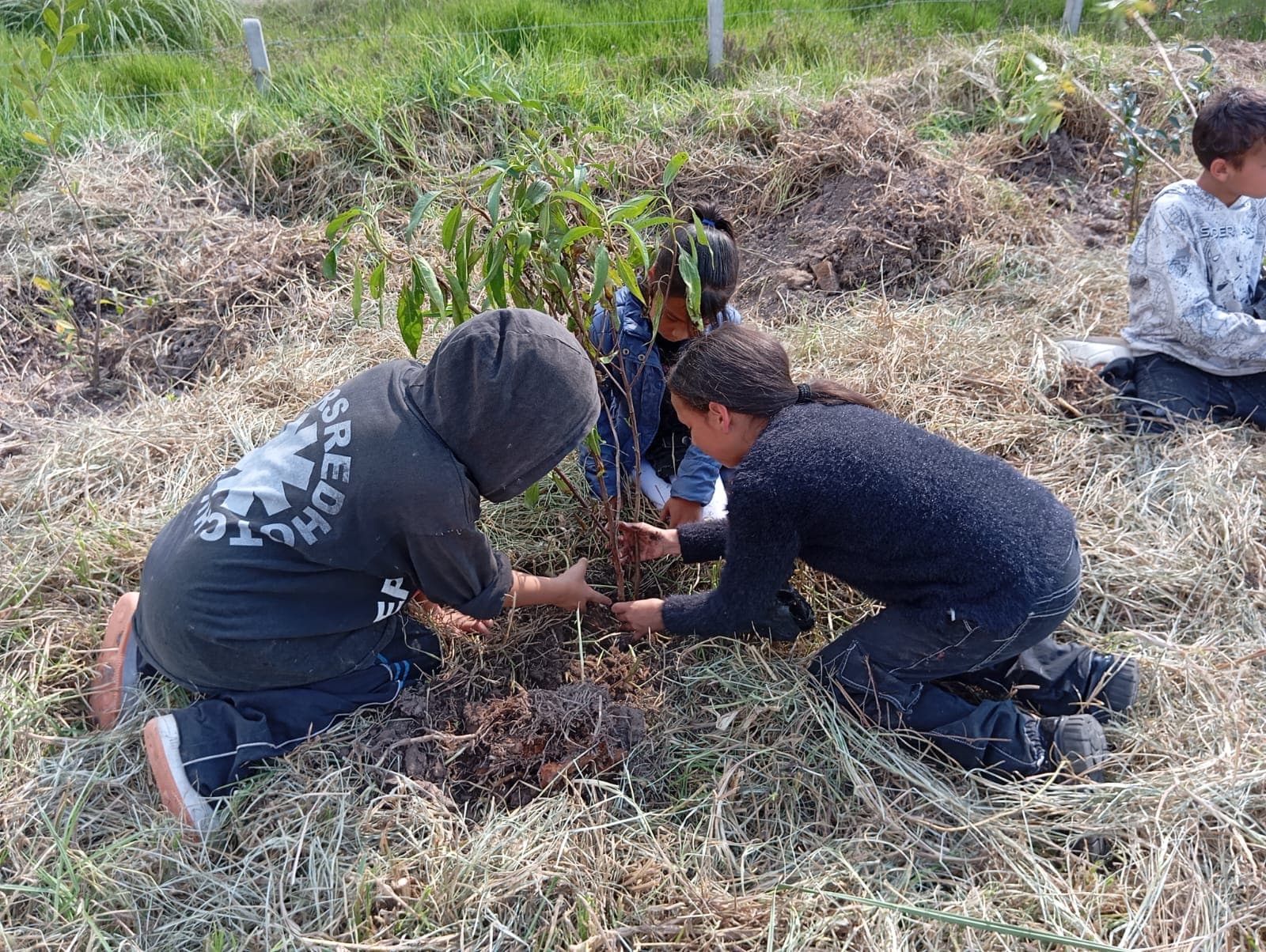 SEMBRANDO VIDA, COSECHANDO FUTURO